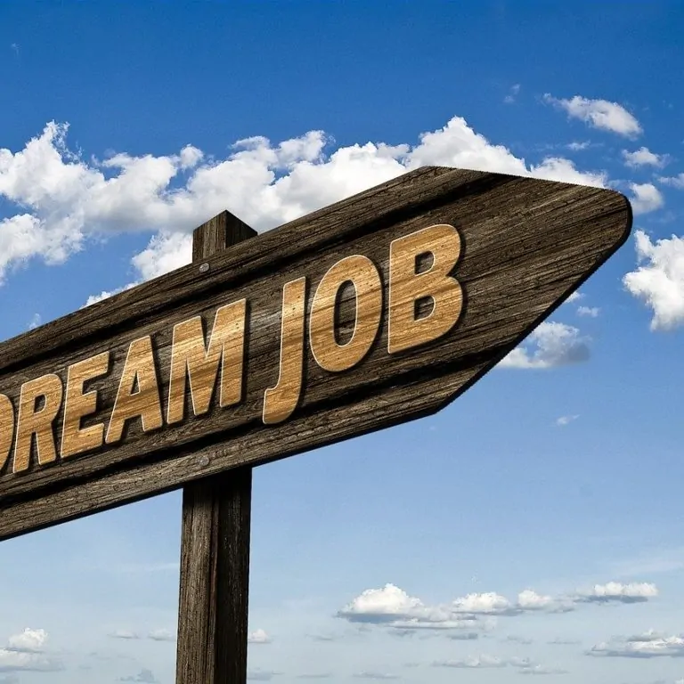 LinkedIn for your job search?